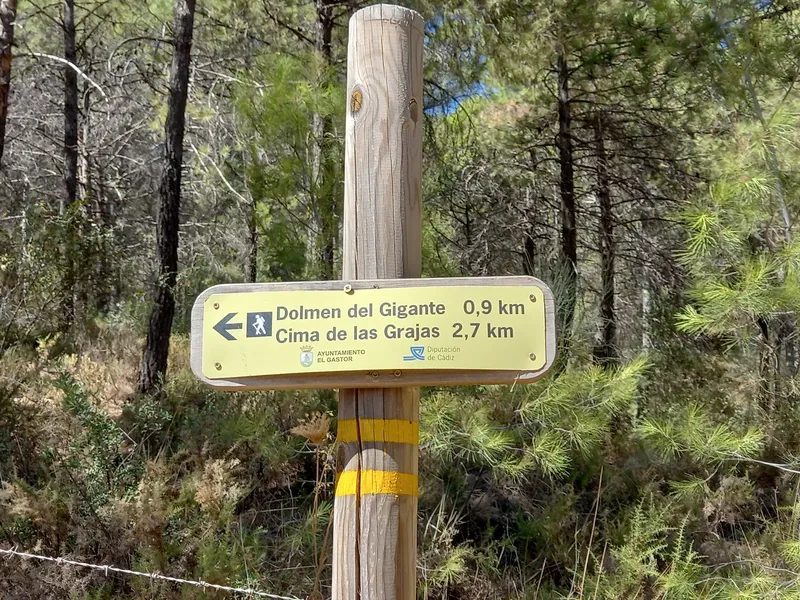 Señalización de sendero en bosque.