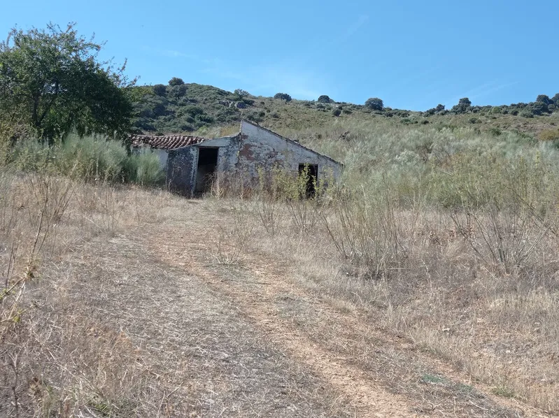 Casa antigua en un paisaje seco.