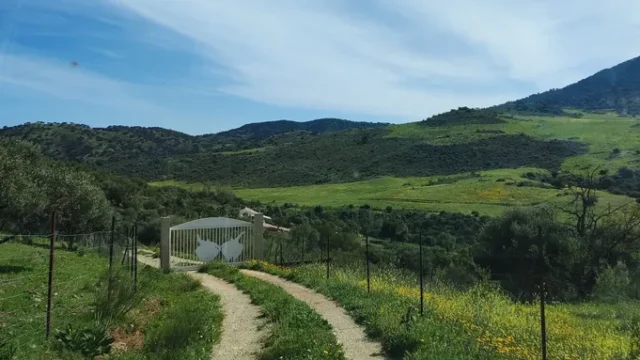 Campo verde con puerta blanca.
