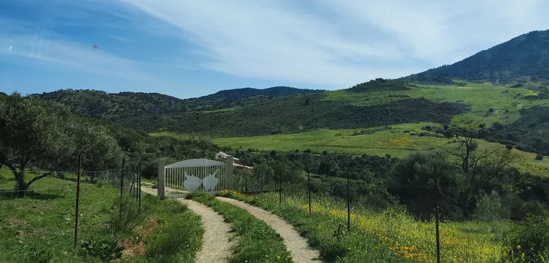 Campo verde con puerta blanca.