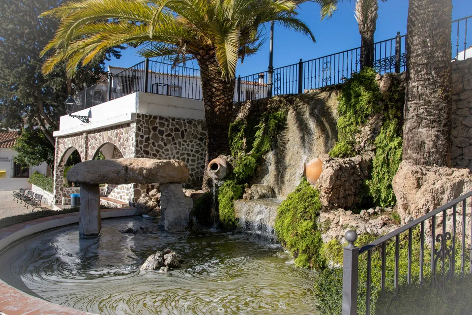 Fuente, palmeras, agua, jardín, alegría.