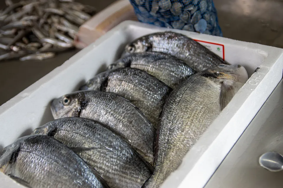 Pescados frescos en caja blanca.
