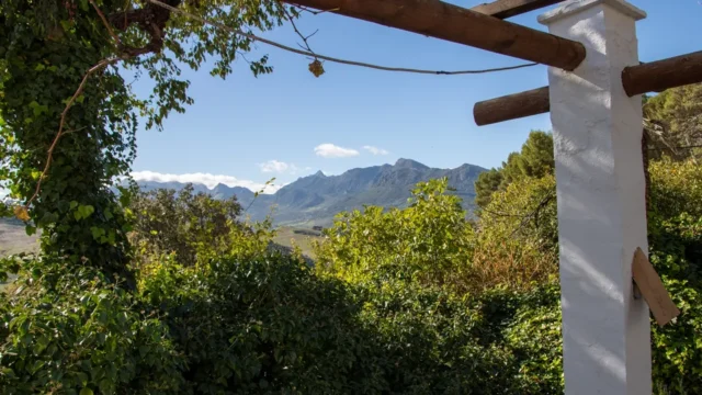 Montañas, vegetación, cielo, naturaleza, paisaje.
