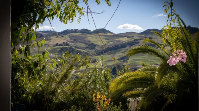 Naturaleza, montañas, plantas, luz, paz.