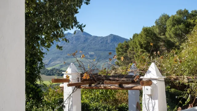 Paisaje montañoso con vegetación hermosa.