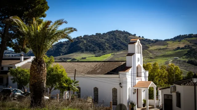 Iglesia, montaña, palmera, cielo, tranquilo.