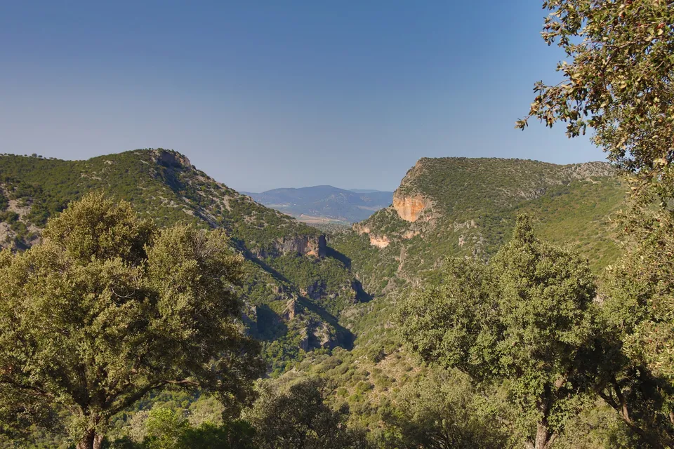 Montañas verdes bajo cielo azul.