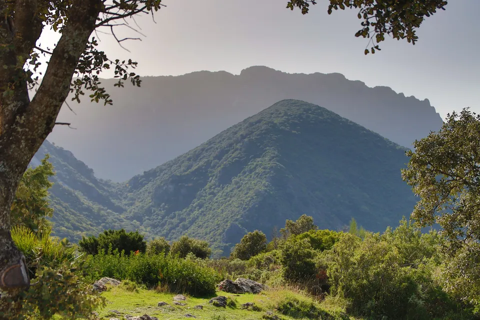 Montañas verdes, paisaje natural hermoso.