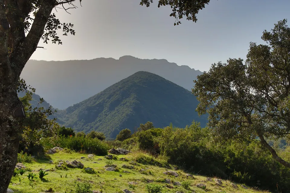 Montañas, árboles, paisaje, naturaleza, luz.