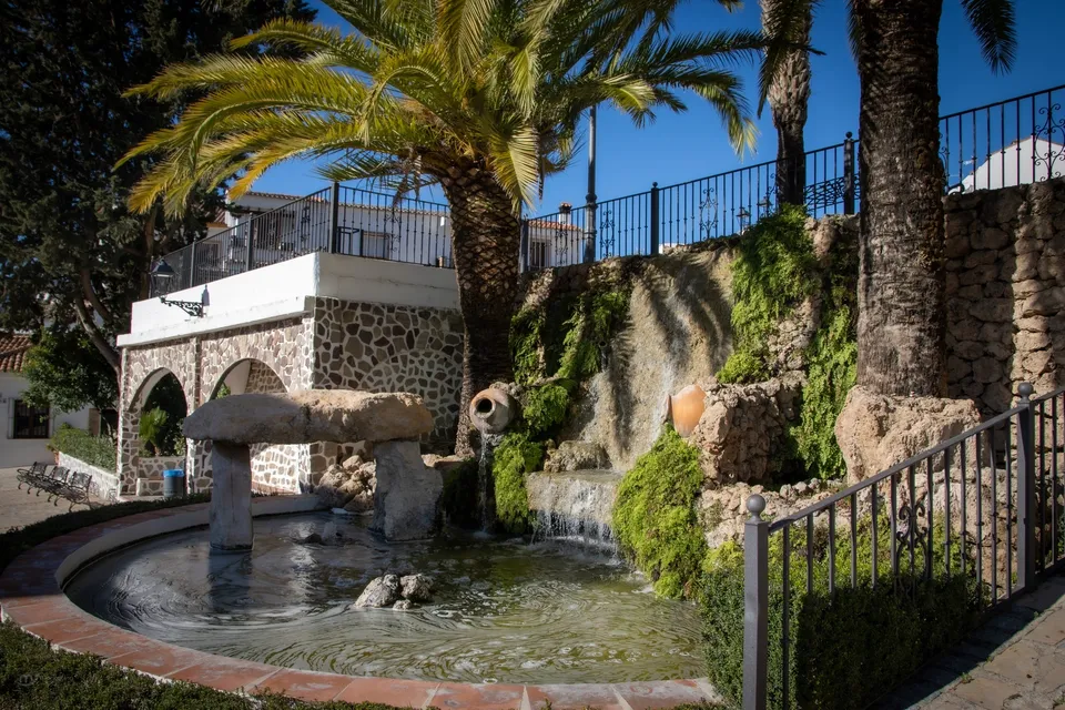 Fuente, palmeras, agua, paisaje, tranquilo.