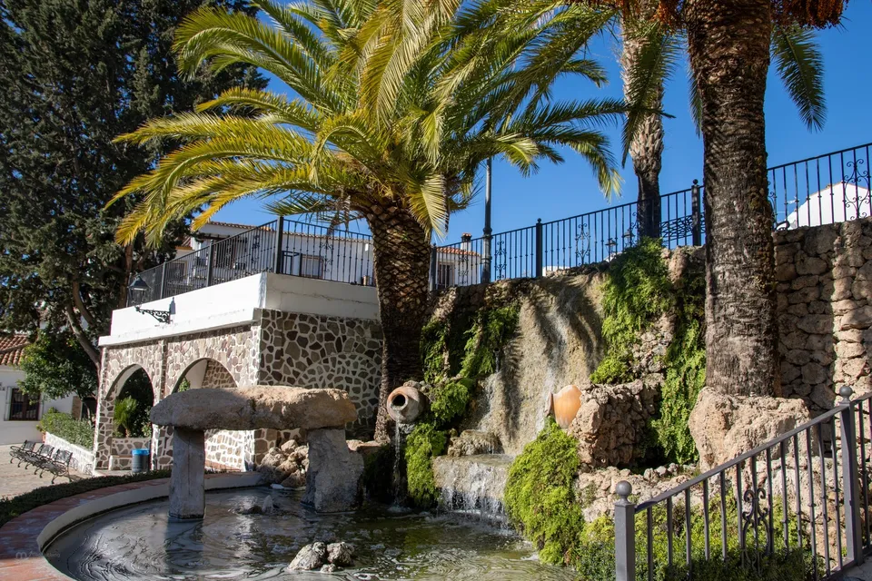 Fuente, palmeras, agua, piedra, paisaje.
