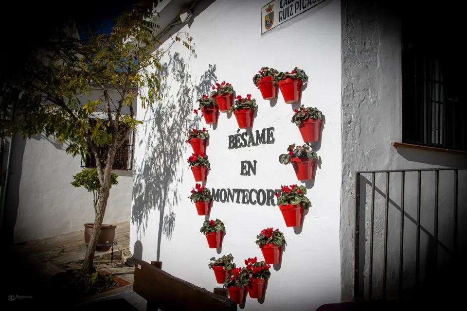 Corazón, flores, pared, mensaje, Montecorto.