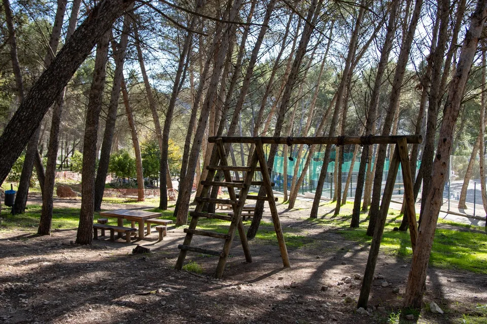 Parque, árboles, columpio, mesa, sombra.
