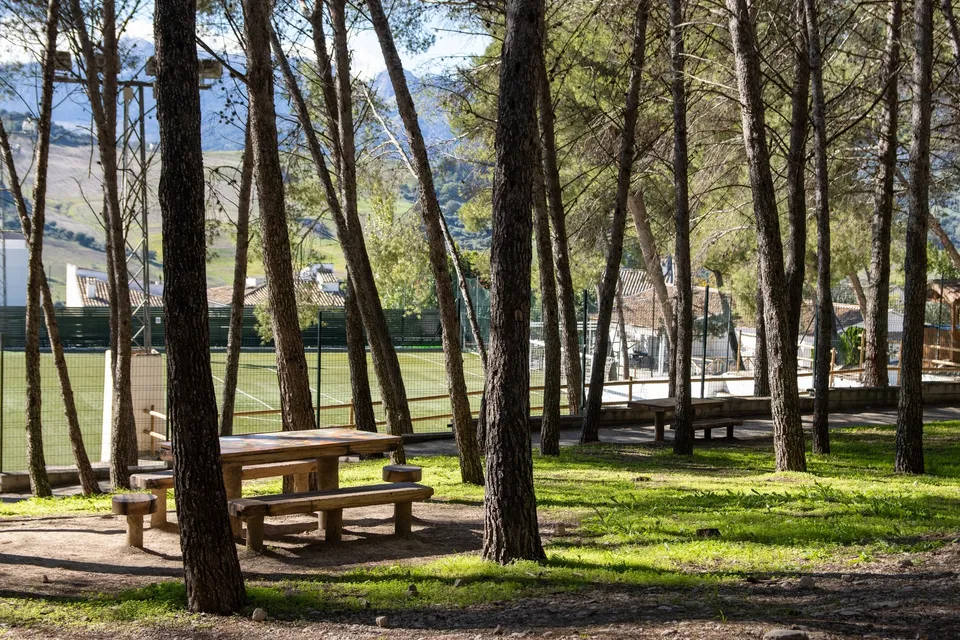 Mesa de picnic entre árboles.