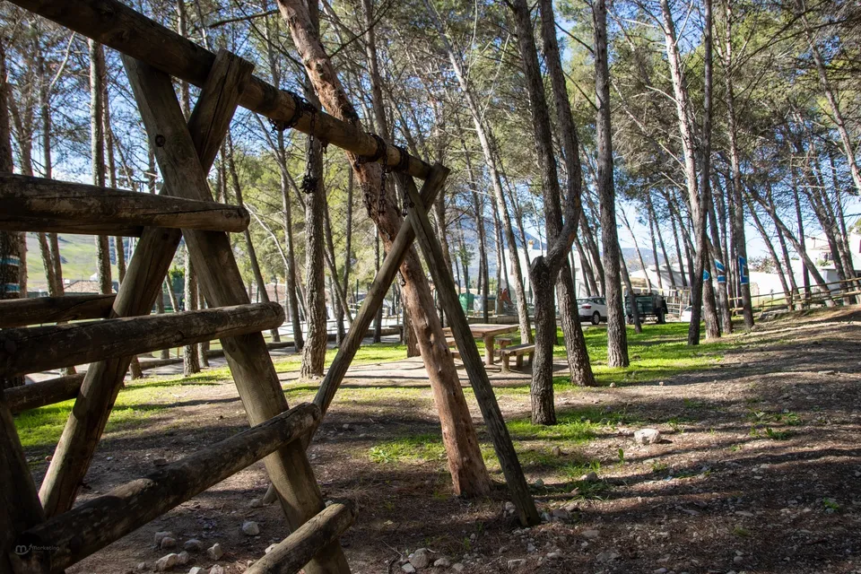 Parque, árboles, estructura de madera, tranquilidad.