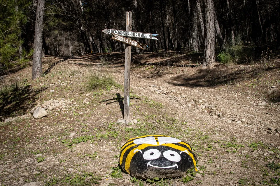 Piedra pintada de abeja sonriente.