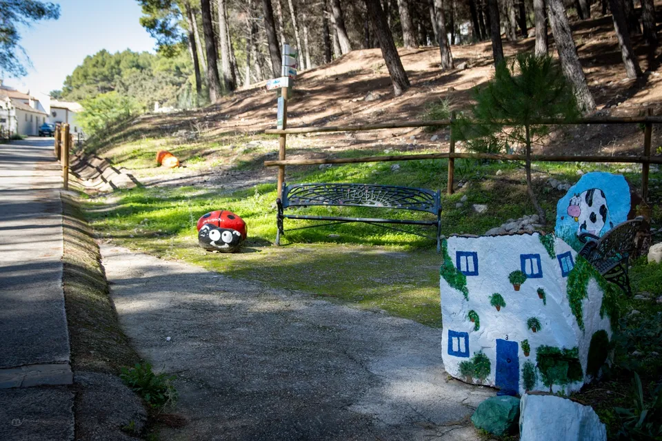 Bancos, piedras pintadas, naturaleza.