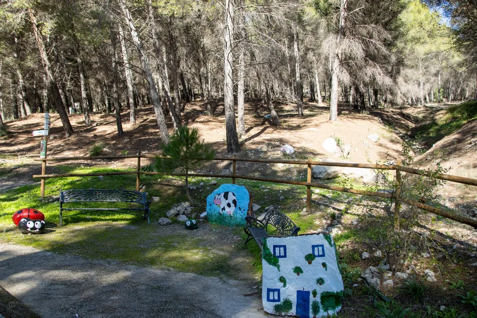 Parque, bancos, piedras pintadas, naturaleza.