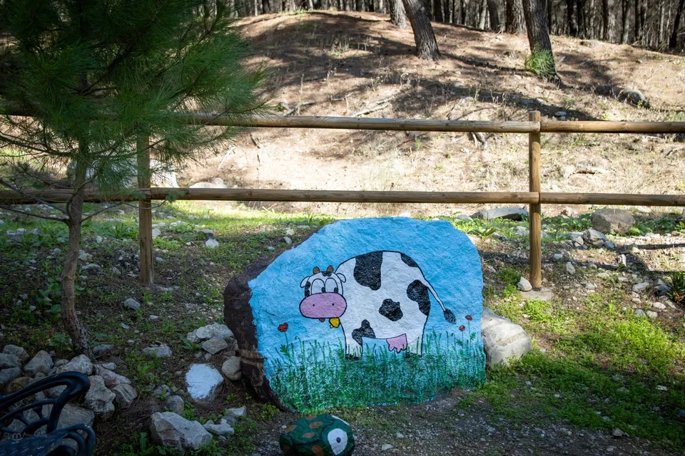 Piedra pintada con vaca feliz.