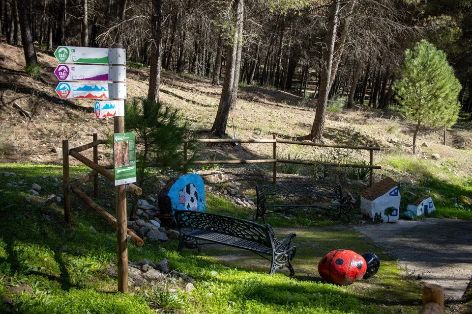 Sendero, bancas, piedras pintadas, bosque.
