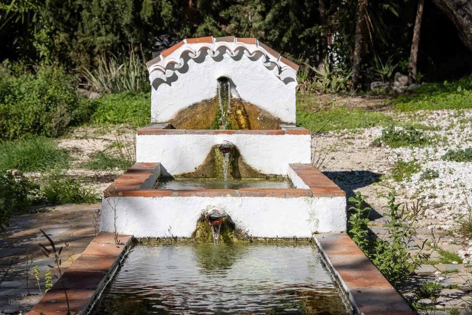 Fuente con agua y vegetación.