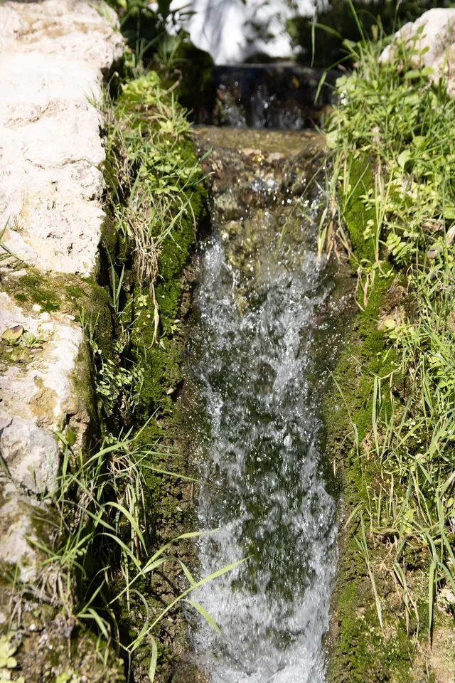 Agua, hierba, piedra, naturaleza, corriente.