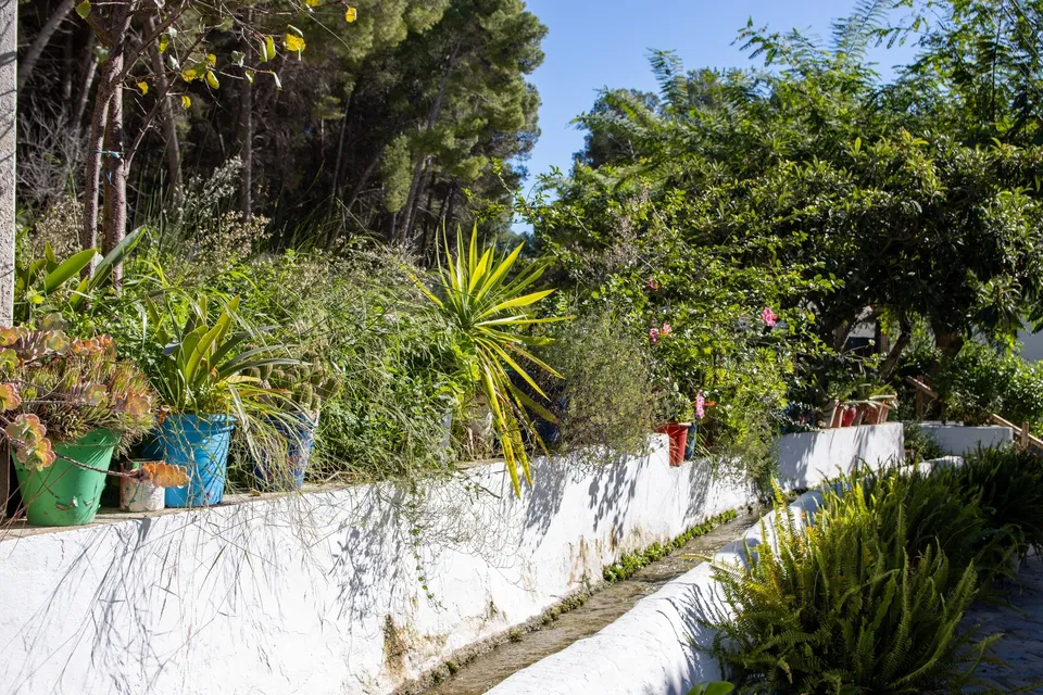 Jardín con plantas y naturaleza.