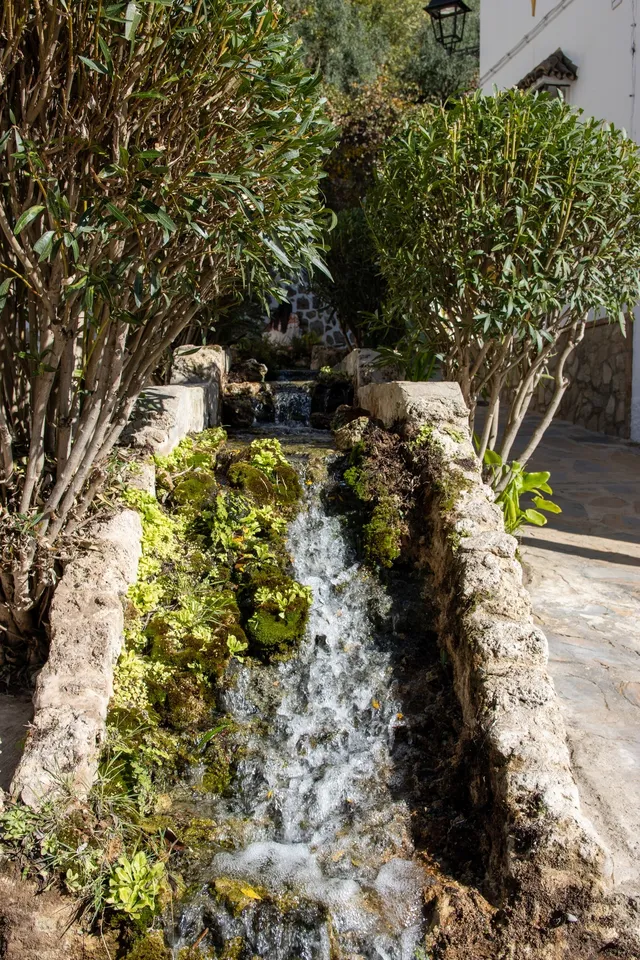 Arroyo, vegetación, tranquilidad, naturaleza, paisaje.