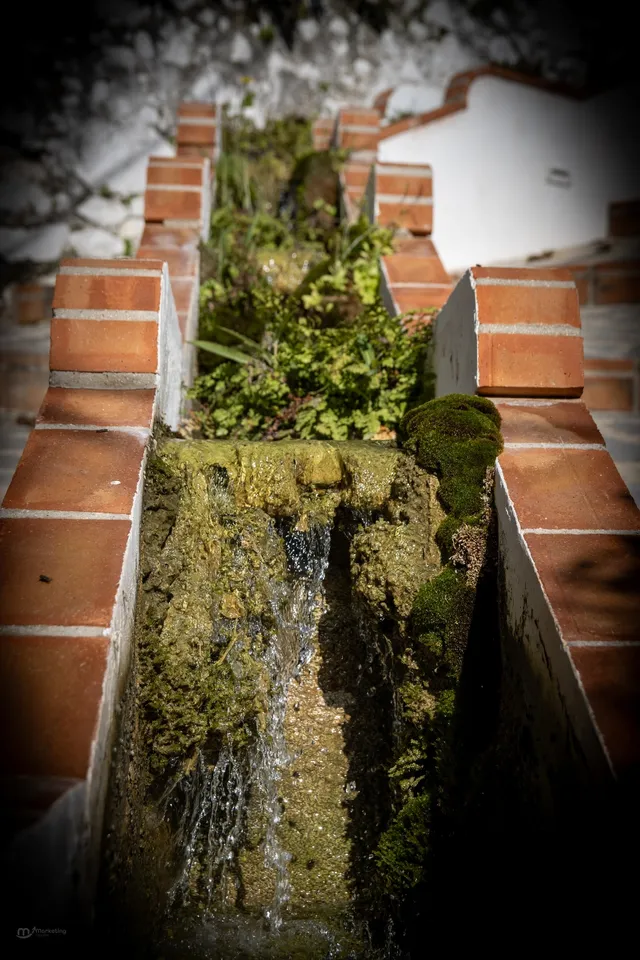 Agua, musgo, ladrillos, naturaleza, tranquilidad.
