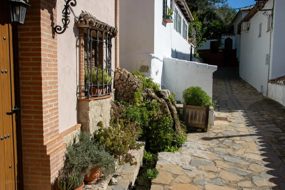 Casa, calle, plantas, piedra, sol.