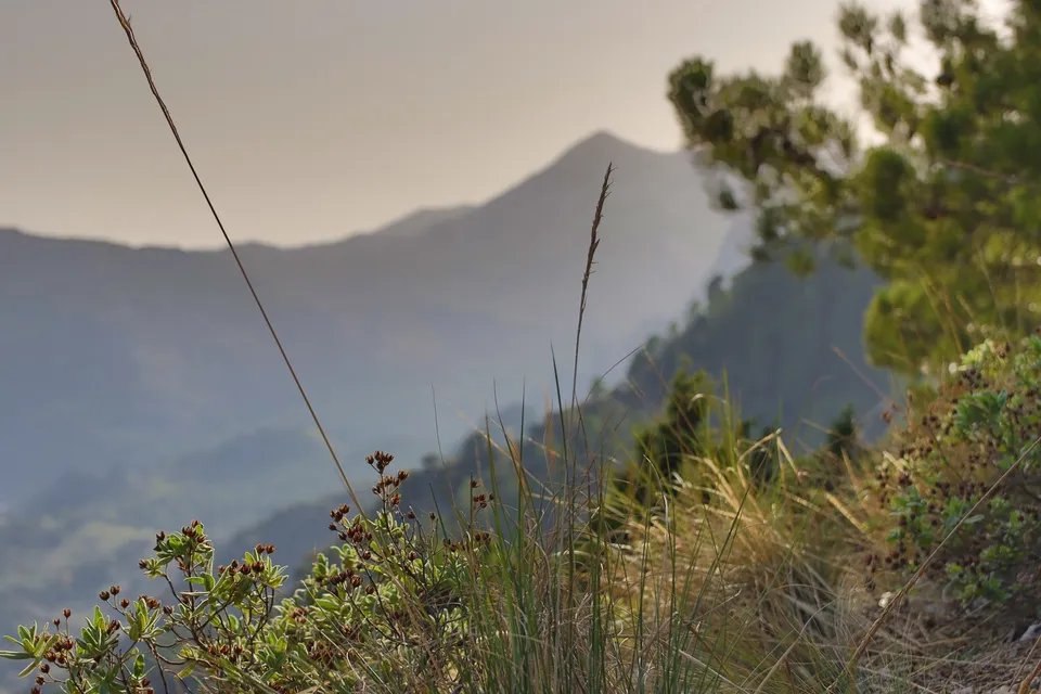 Montañas, vegetación, paisaje, naturaleza, serenidad.